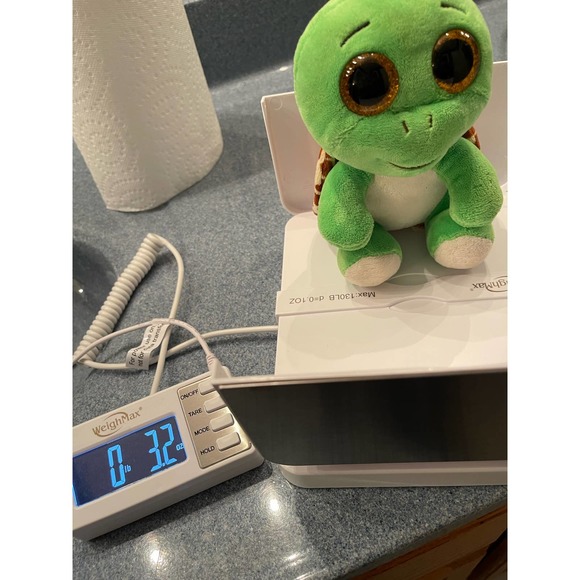 TY Toys Ty Beanie Boo Turbo - Spotted Turtle - 6" inches - Picture 9 of 11